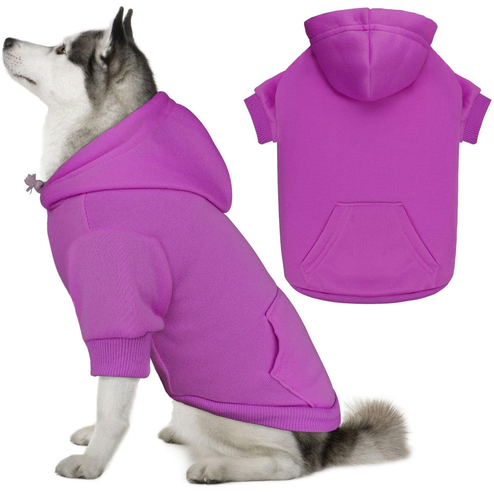 QDYU dog sweater purple XL on a dog for warm, stylish outdoor wear.