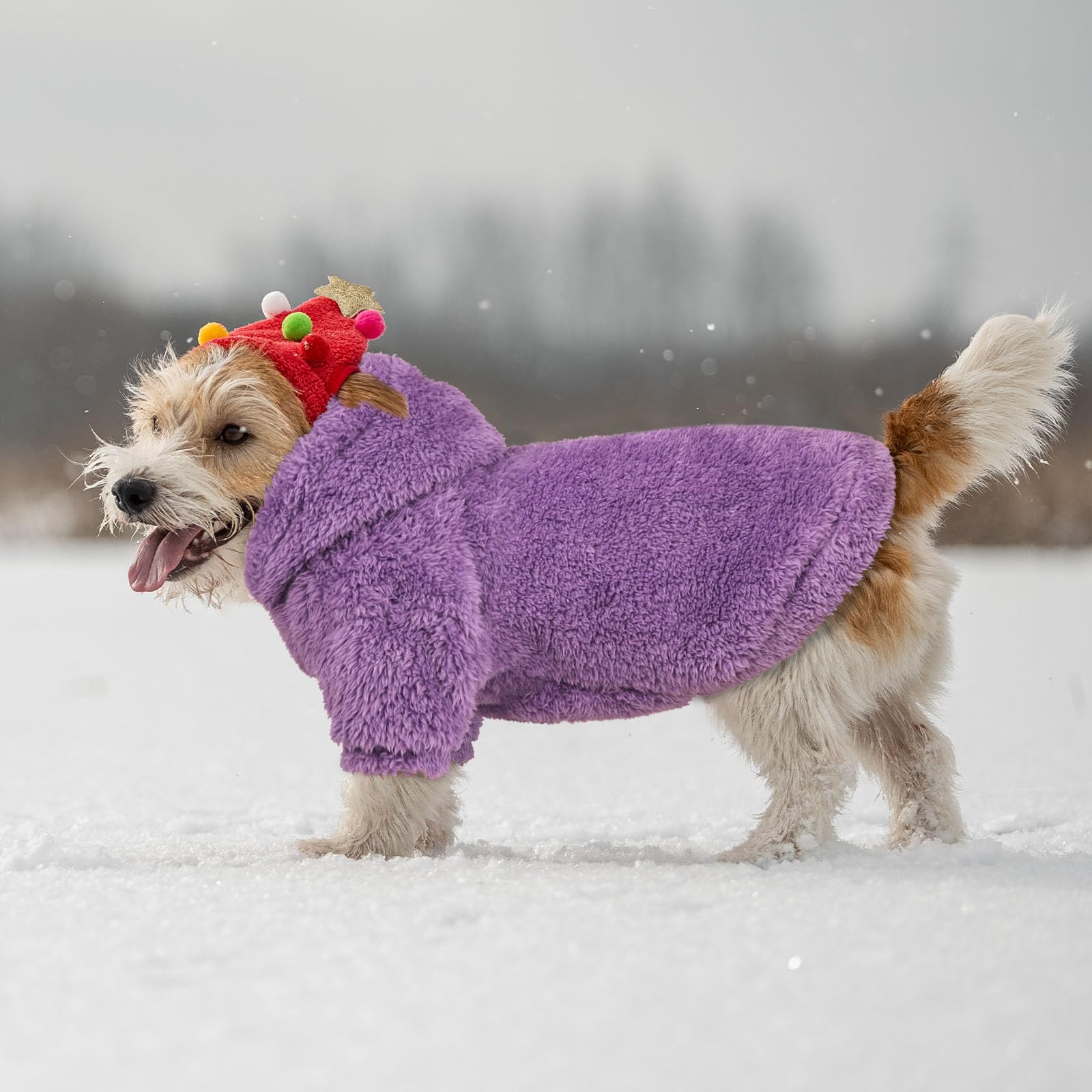 QDYU machine-washable and durable dog sweater for busy households.