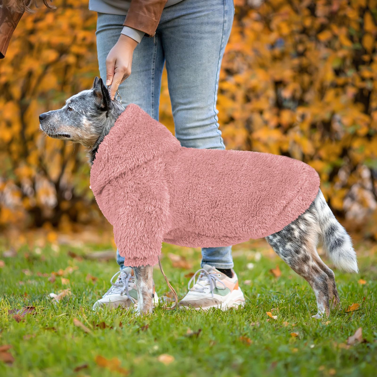 QDYU fuzzy dog sweater pink-xl back view highlights double-sided plush for cuddly warmth