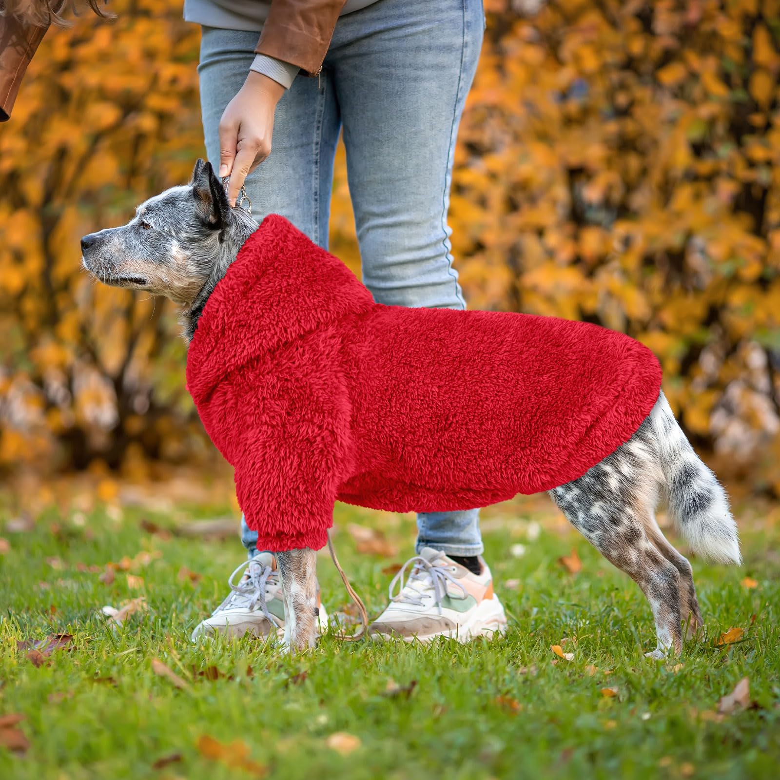 QDYU fuzzy dog sweater red-xl fabric close-up of durable plush fleece