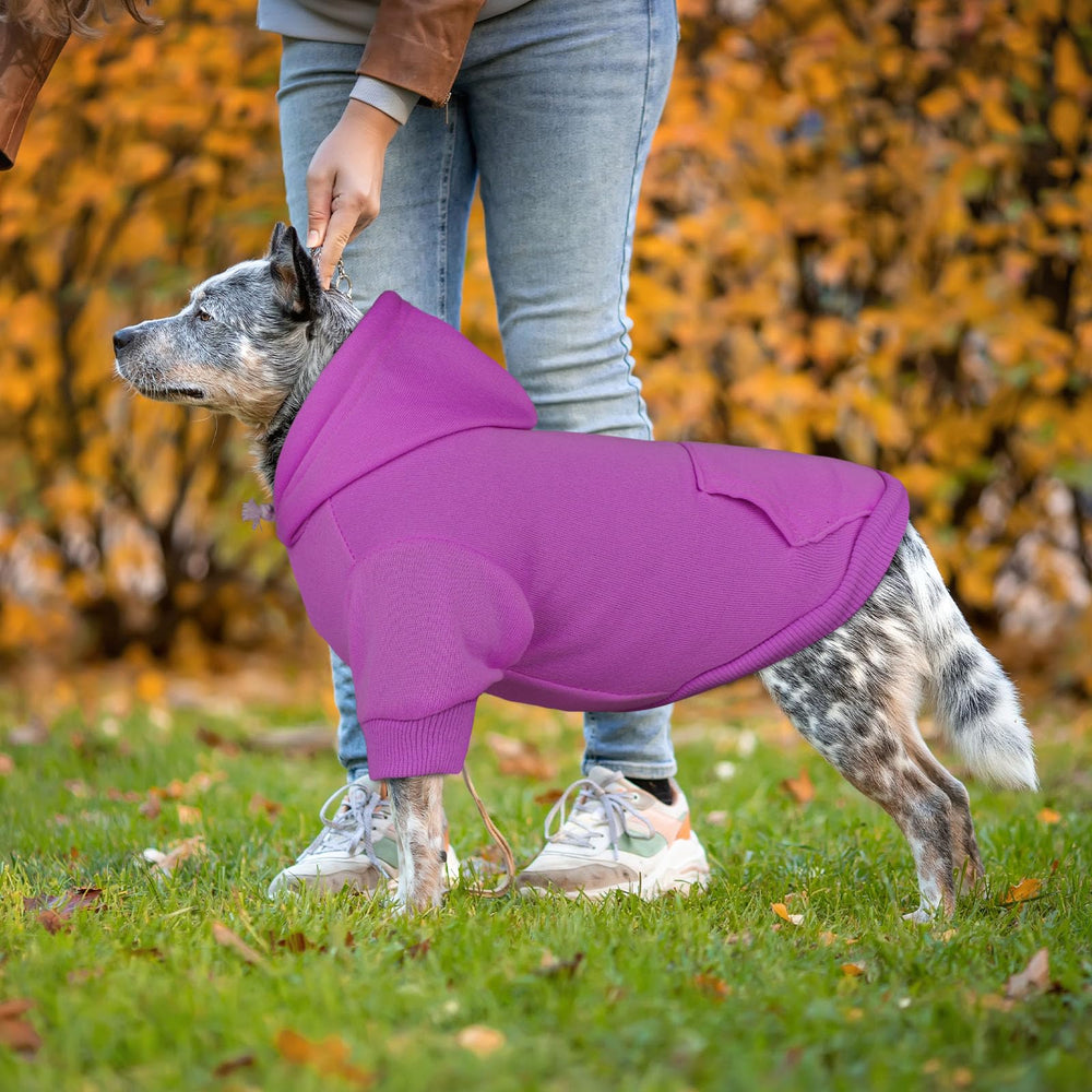 QDYU machine-wash-durable knit holds shape after playful, frequent washes.