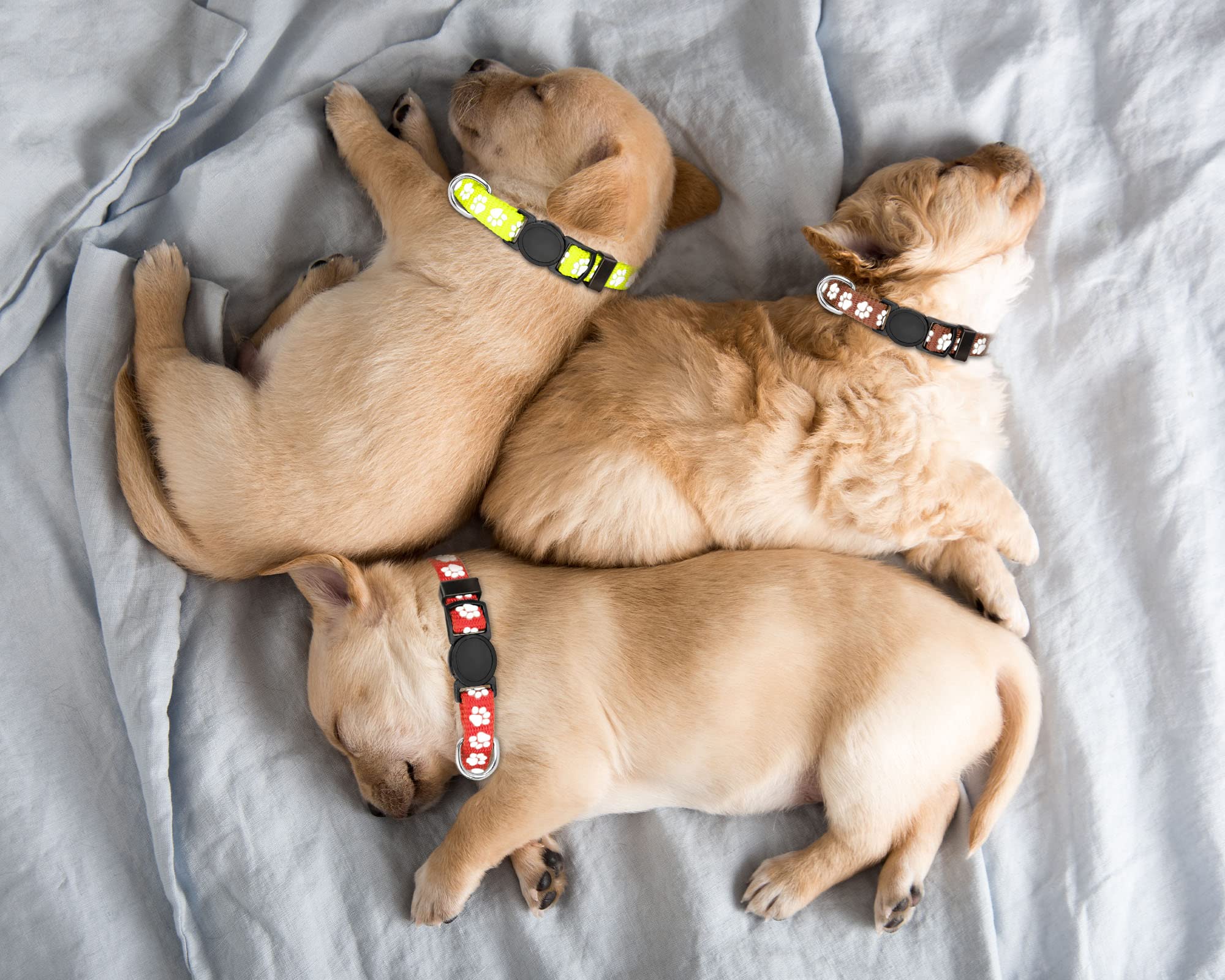 QDYU puppy collars litter complete set shows variety and grow-with-puppy versatility.