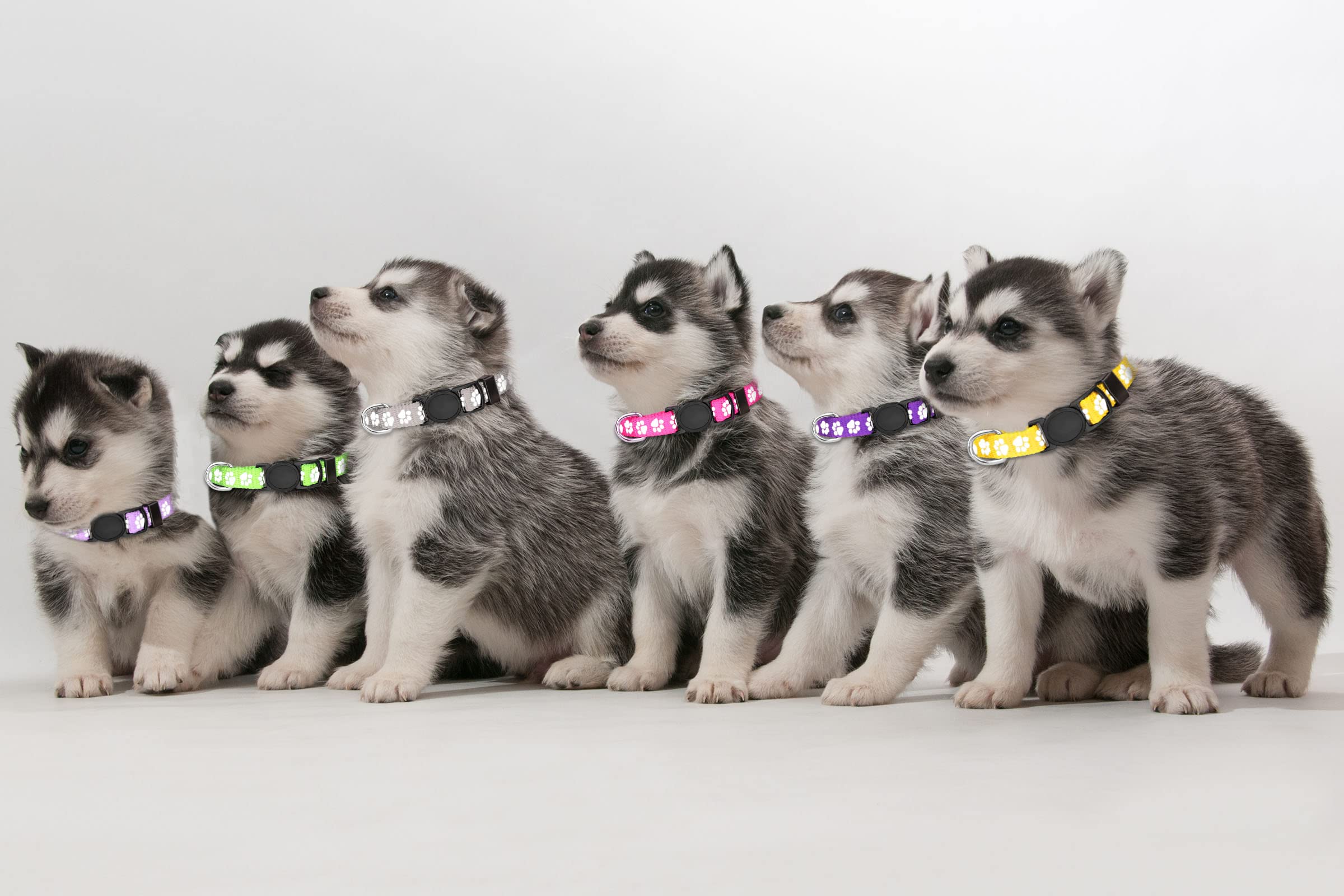 QDYU puppy collars litter glow paw print enhances visibility in low light.