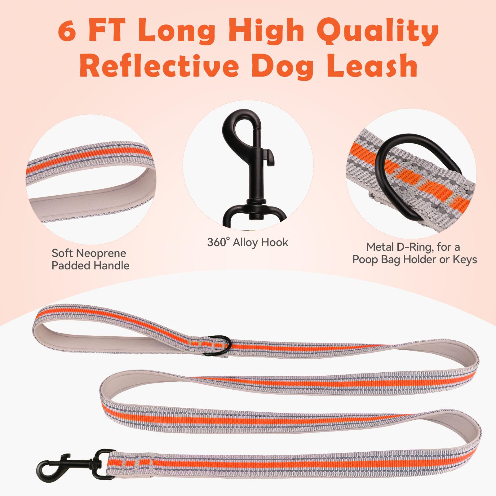 QDYU collar reflective-webbing seen for safer night walks.