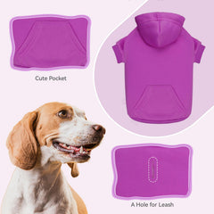 QDYU size-chart-measurements highlighting neck, chest, back measurements for better fitting.
