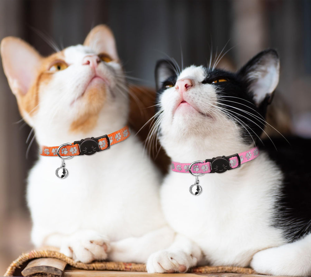 QDYU standard-size cat collar 7.5-12.6 inches fits most adult cats.