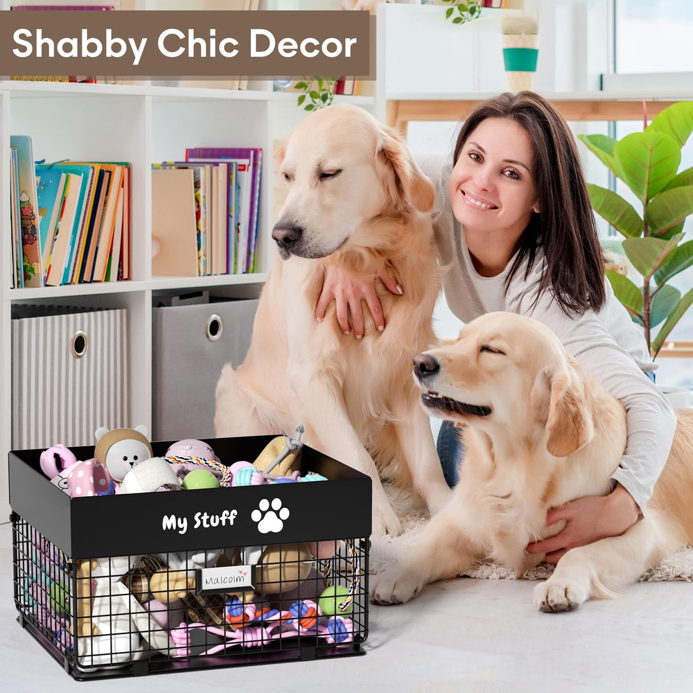 Qeerable living room scene shows a tidy pet-friendly space