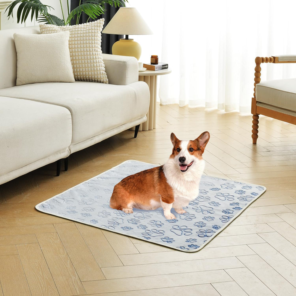 Qeils 28x42 inch pad providing roomy coverage for dogs of all sizes