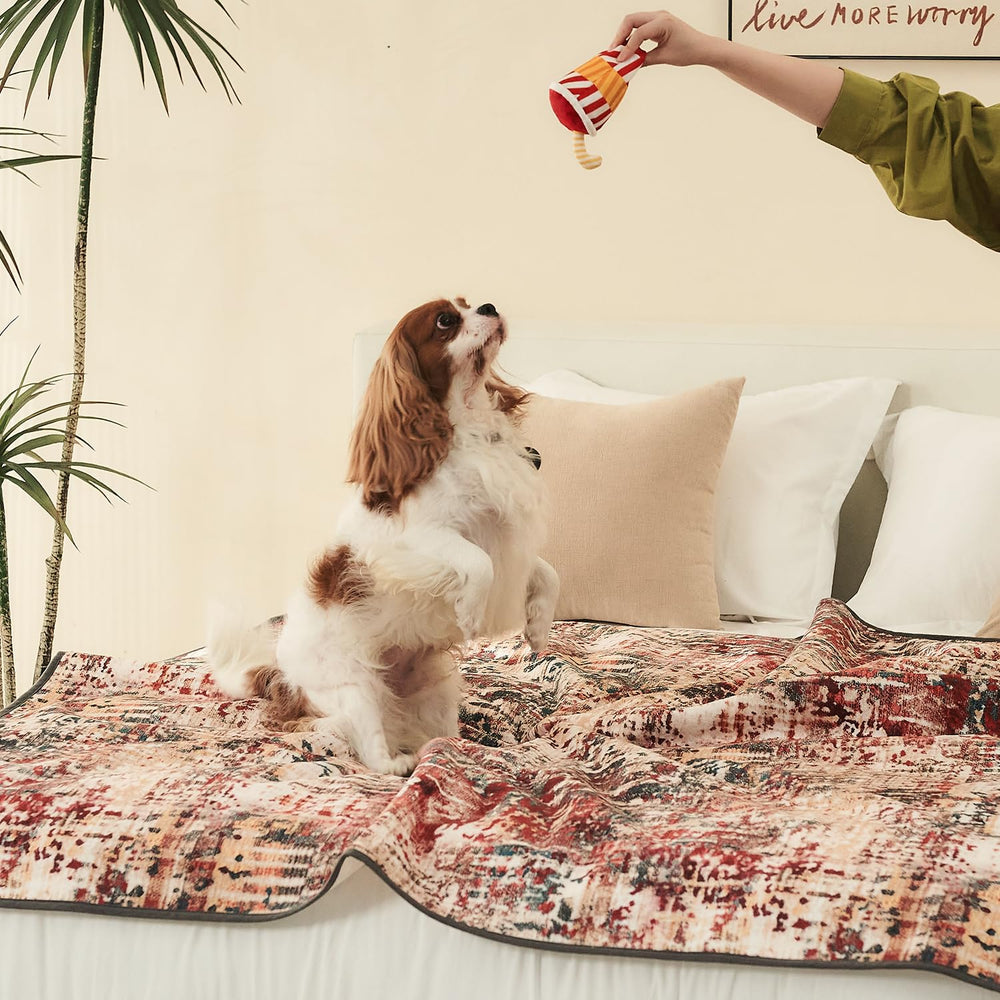 Qeils washable pad machine-wash ready for quick cleanup.