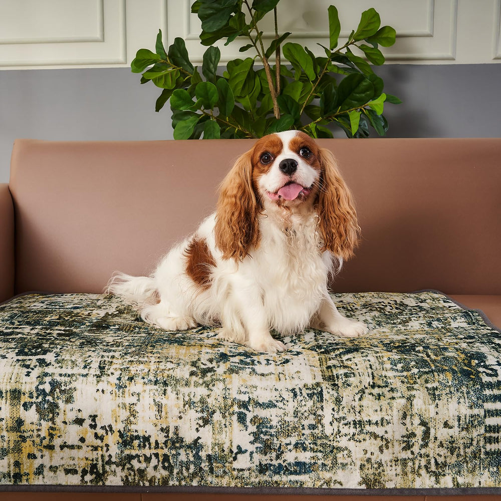 Qeils oeko-tex-certified pad ensures safe materials