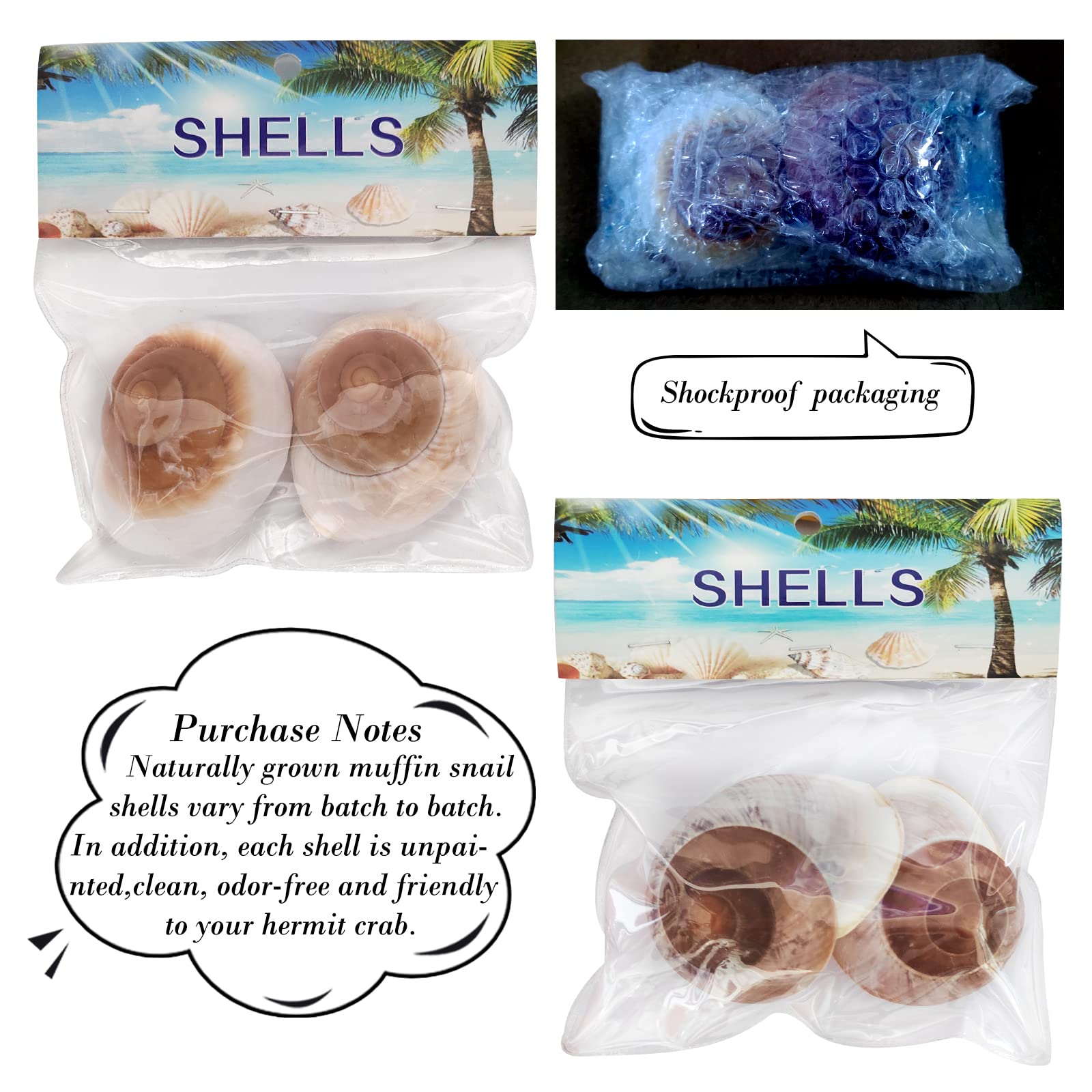 QEQEKAKA aquarium decor shells adds natural texture to fish tanks