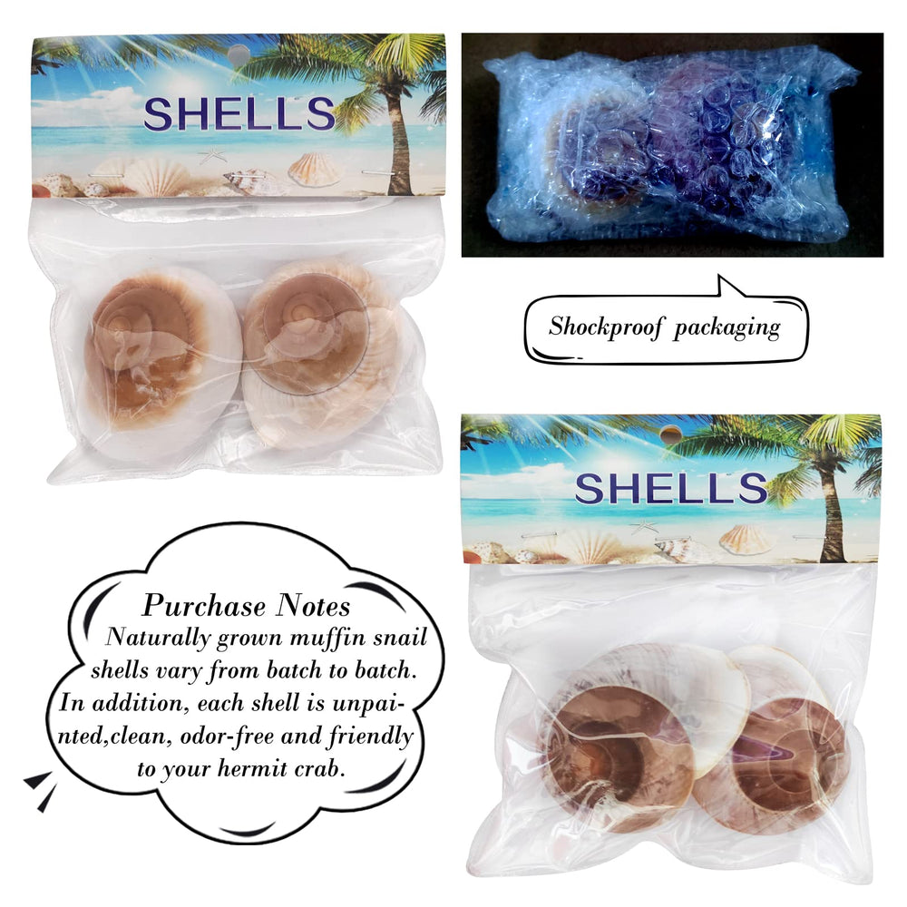QEQEKAKA aquarium decor shells adds natural texture to fish tanks