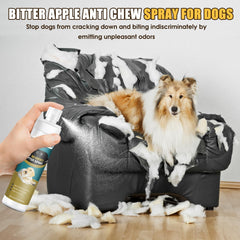 QHZ Bitter Apple Spray protects furniture and fabrics from dog chewing