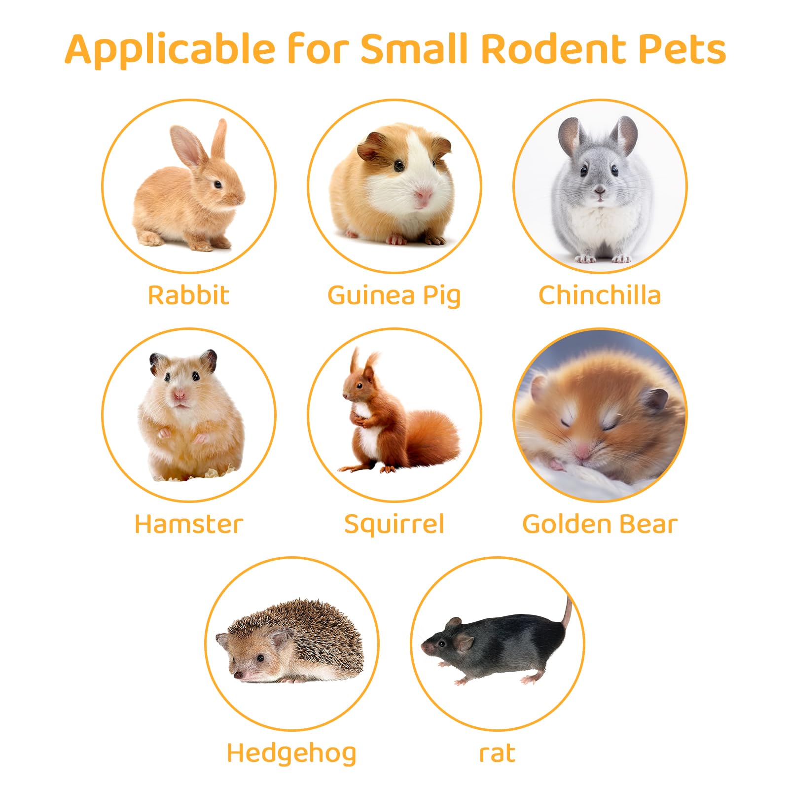 QHZHANG Apple Sticks nutritious-polyphenols highlight a natural treat with polyphenols.