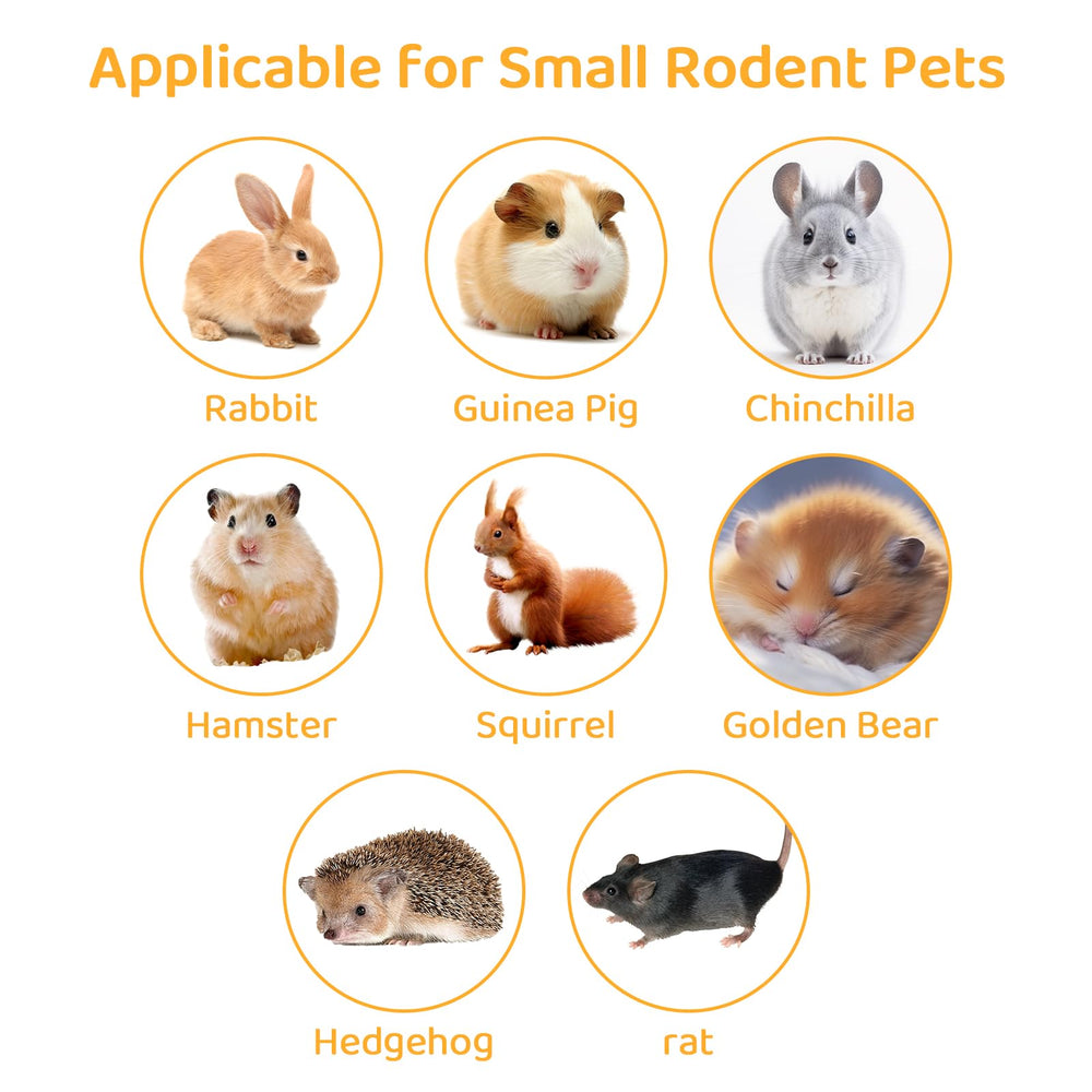 QHZHANG Apple Sticks nutritious-polyphenols highlight a natural treat with polyphenols.