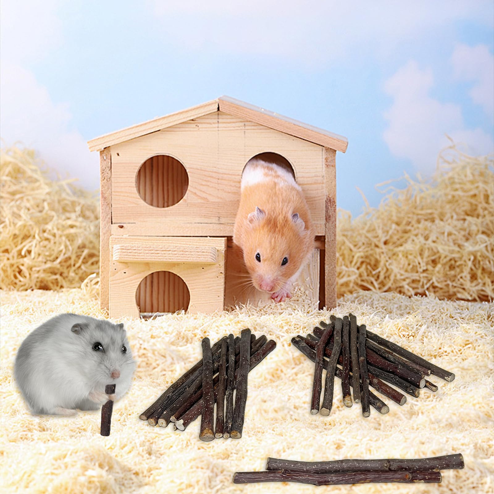 QHZHANG Apple Sticks rabbit-nibbles moment suggests GI-friendly chewing support.