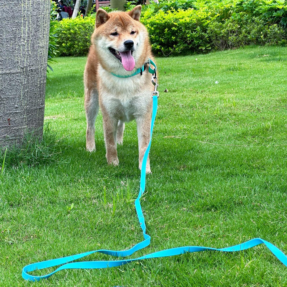 Qiaosite waterproof long leash being held by hand shows comfortable grip and control.