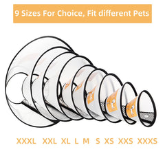 QIYADIN plastic e-collar with soft edges for gentle wear