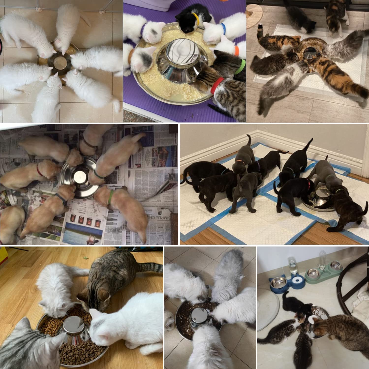 QIYADIN stainless steel pet bowl bottom view highlights stability and wide base.