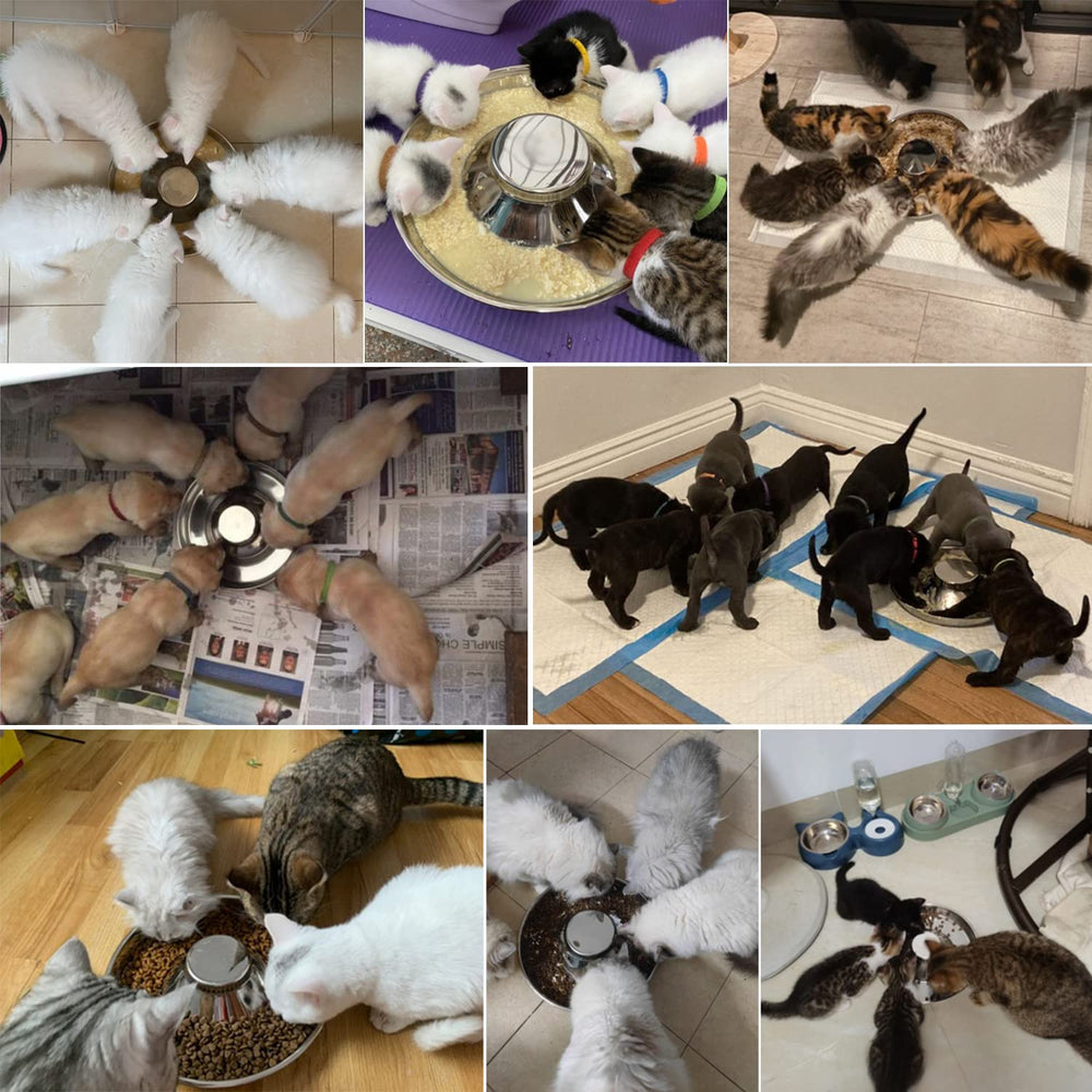 QIYADIN stainless steel pet bowl bottom view highlights stability and wide base.