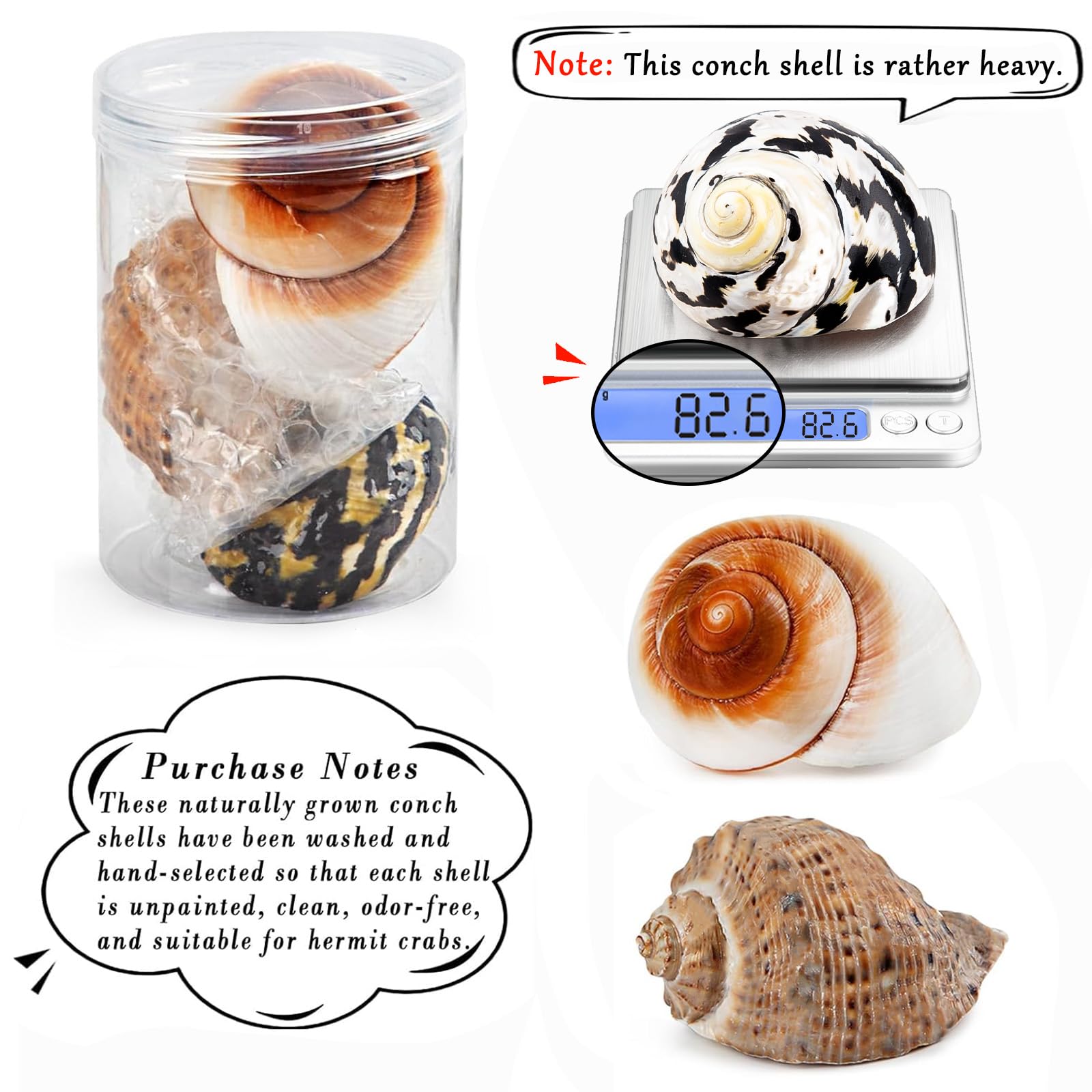QICQDRAM hermit crab shells opening 1.2-2 inches, easy fit