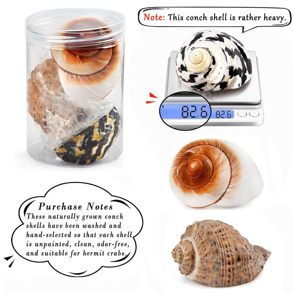 QICQDRAM hermit crab shells opening 1.2-2 inches, easy fit