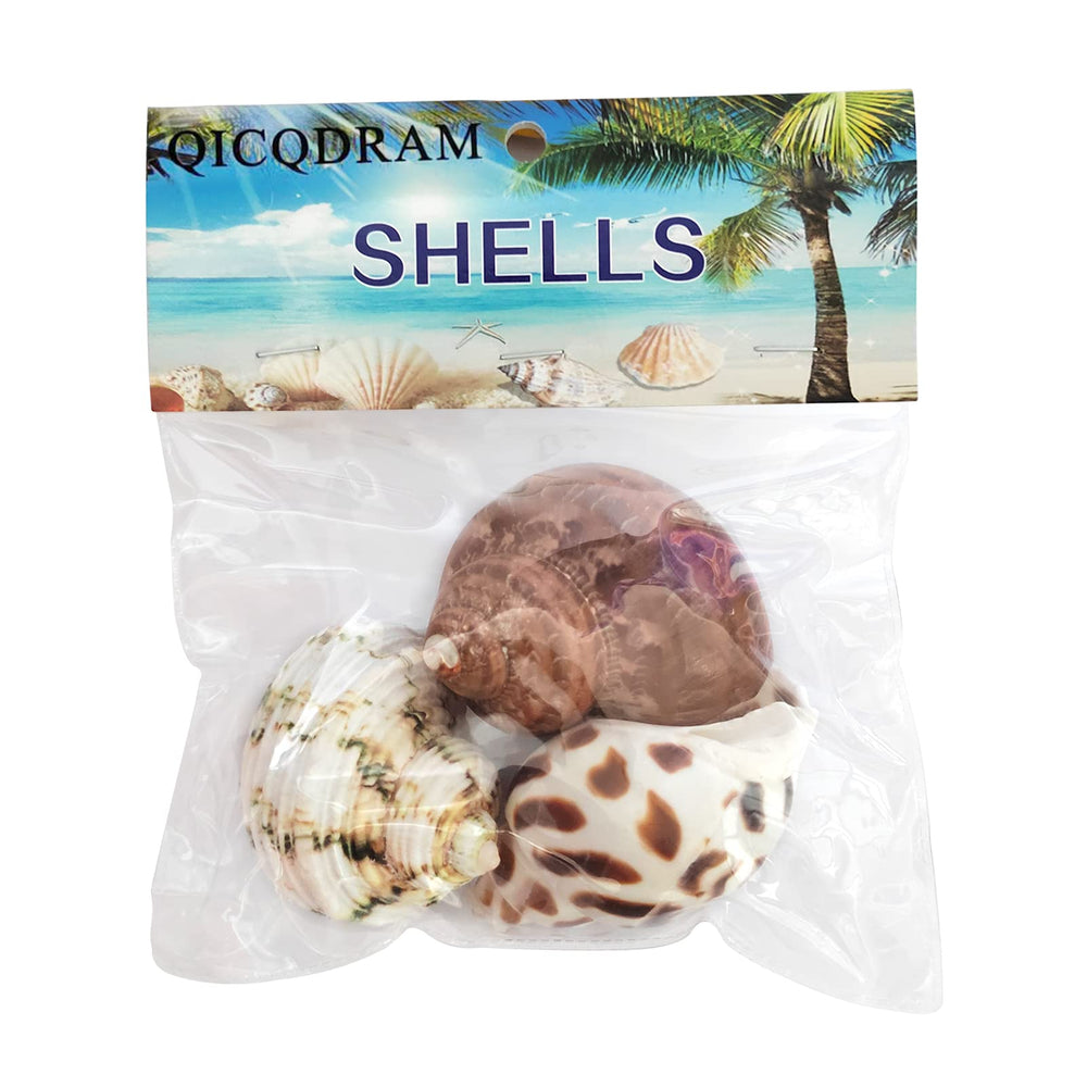 QICQDRAM hermit crab shells are clean and ready for use.