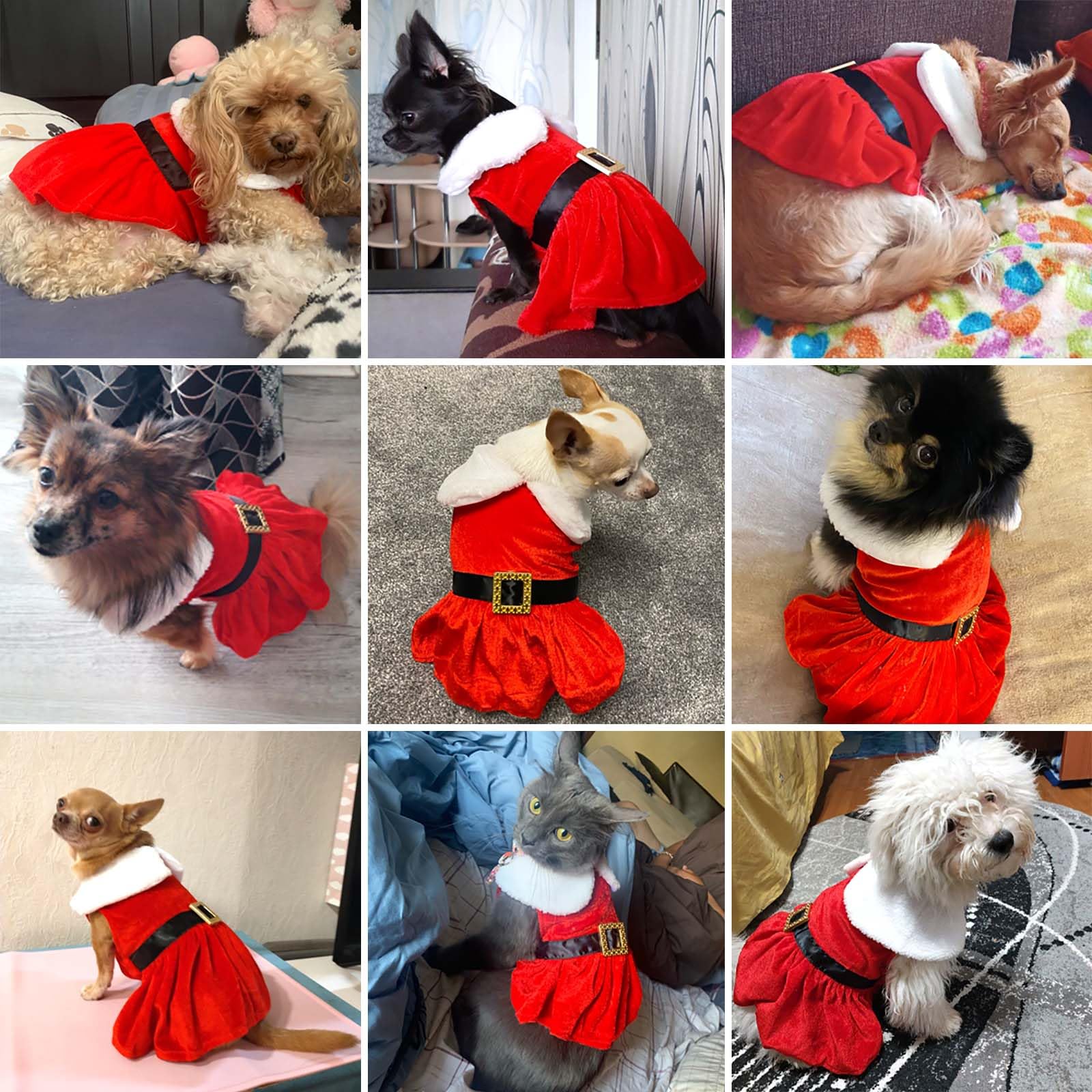 Qidelong dog dress features easy-on-off snaps for quick dressing