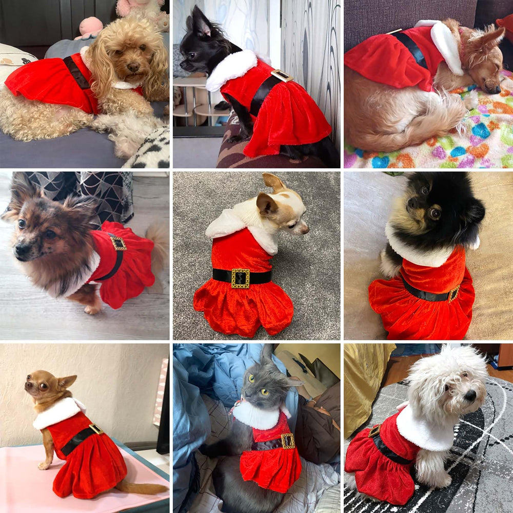 Qidelong dog dress features easy-on-off snaps for quick dressing