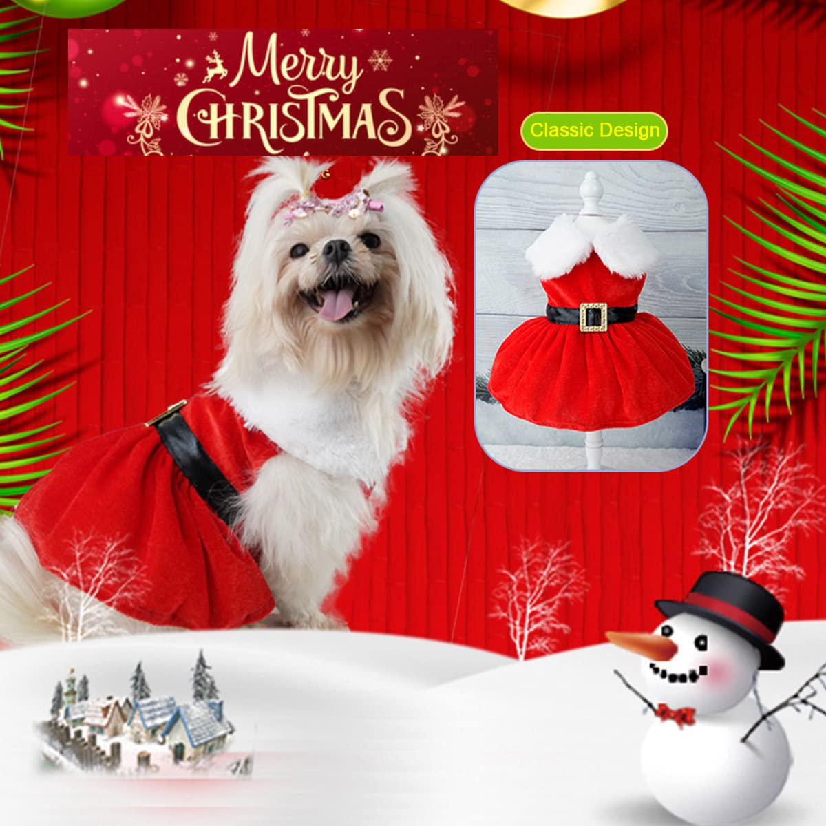 Qidelong velvet skirt and thermal shirt show cozy winter warmth for small dogs