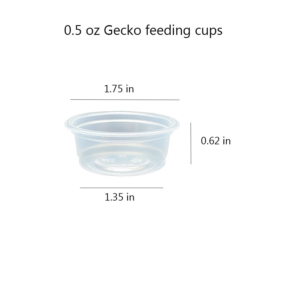 QIHYCUF ledge compatible cups fit standard gecko ledges for easy feeding