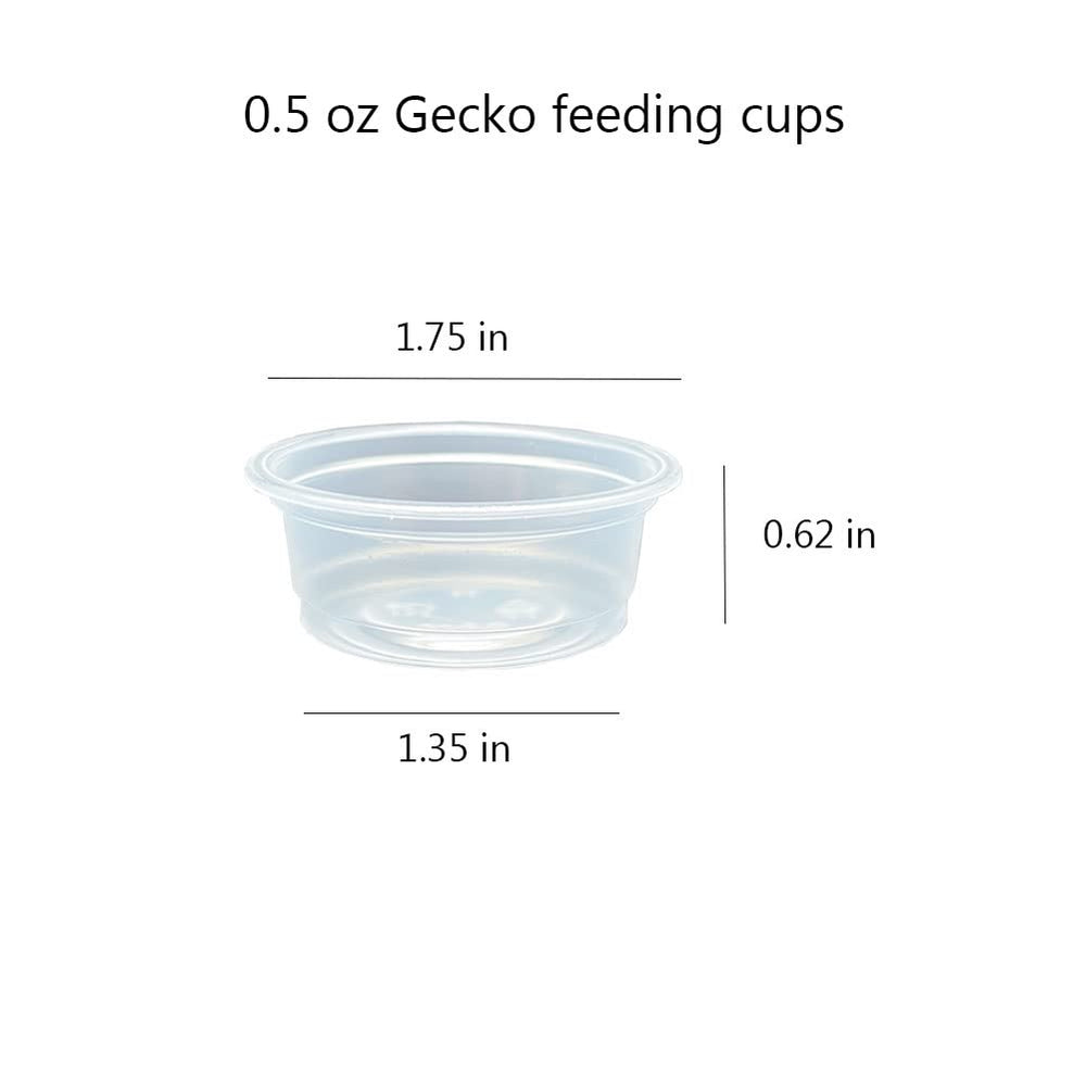 QIHYCUF ledge compatible cups fit standard gecko ledges for easy feeding