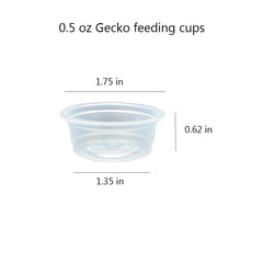 QIHYCUF ledge compatible cups fit standard gecko ledges for easy feeding