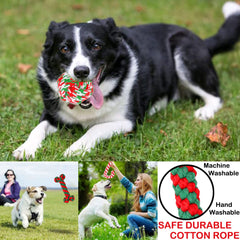 Qiicenay bone chew toy sturdy and satisfying for teething dogs.