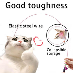 Qiifaiikooii cat-exercise-relief-boredom supports activity and companionship