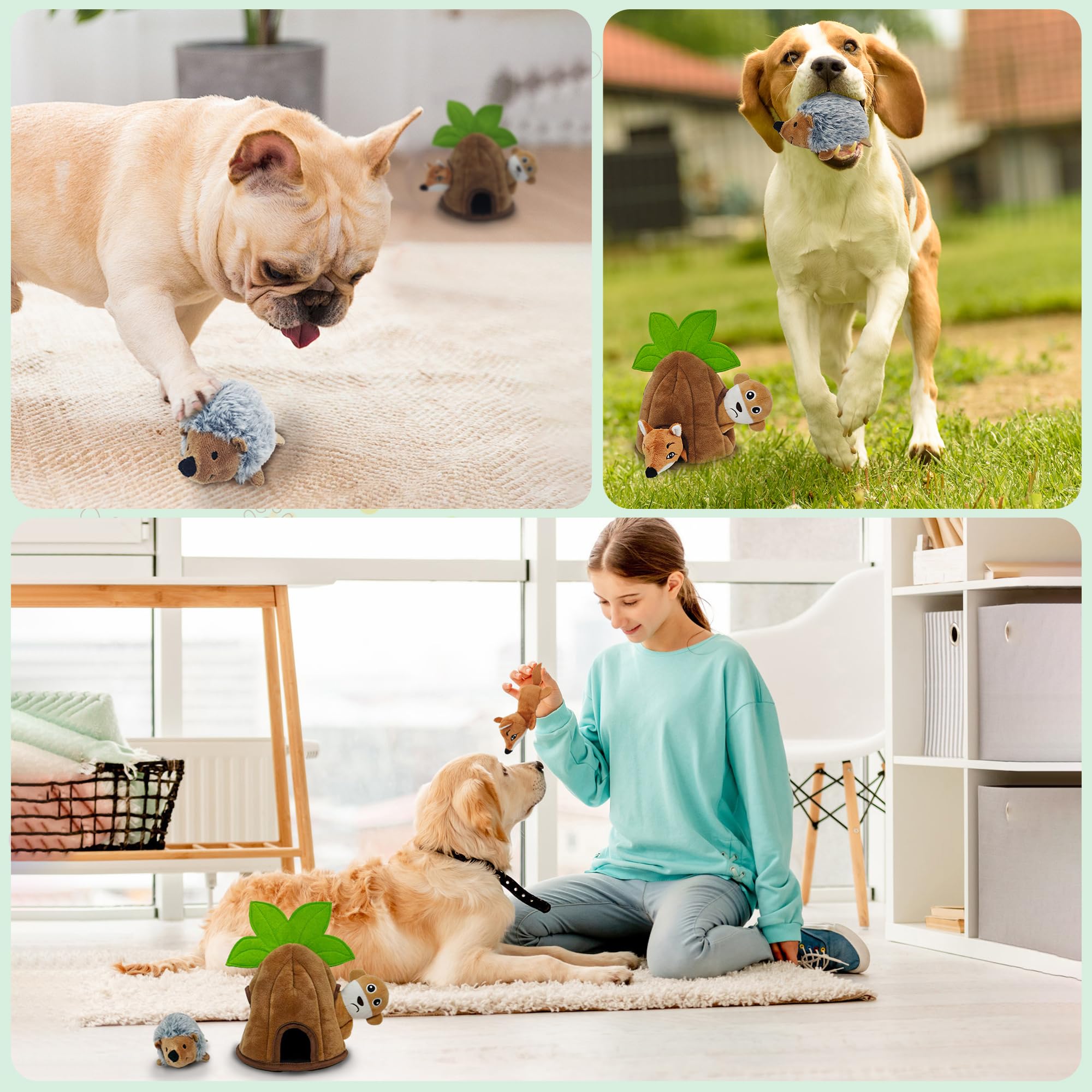 Qiiiiian Coconut Tree pack displays variety for family-friendly playtime