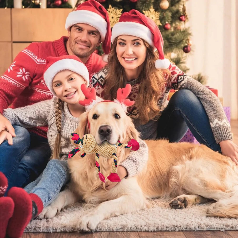 Qiiiiian Dental-Friendly Toy offers inviting textures that may help keep teeth engaged during solo play.