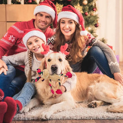 Qiiiiian Dental-Friendly Toy offers inviting textures that may help keep teeth engaged during solo play.