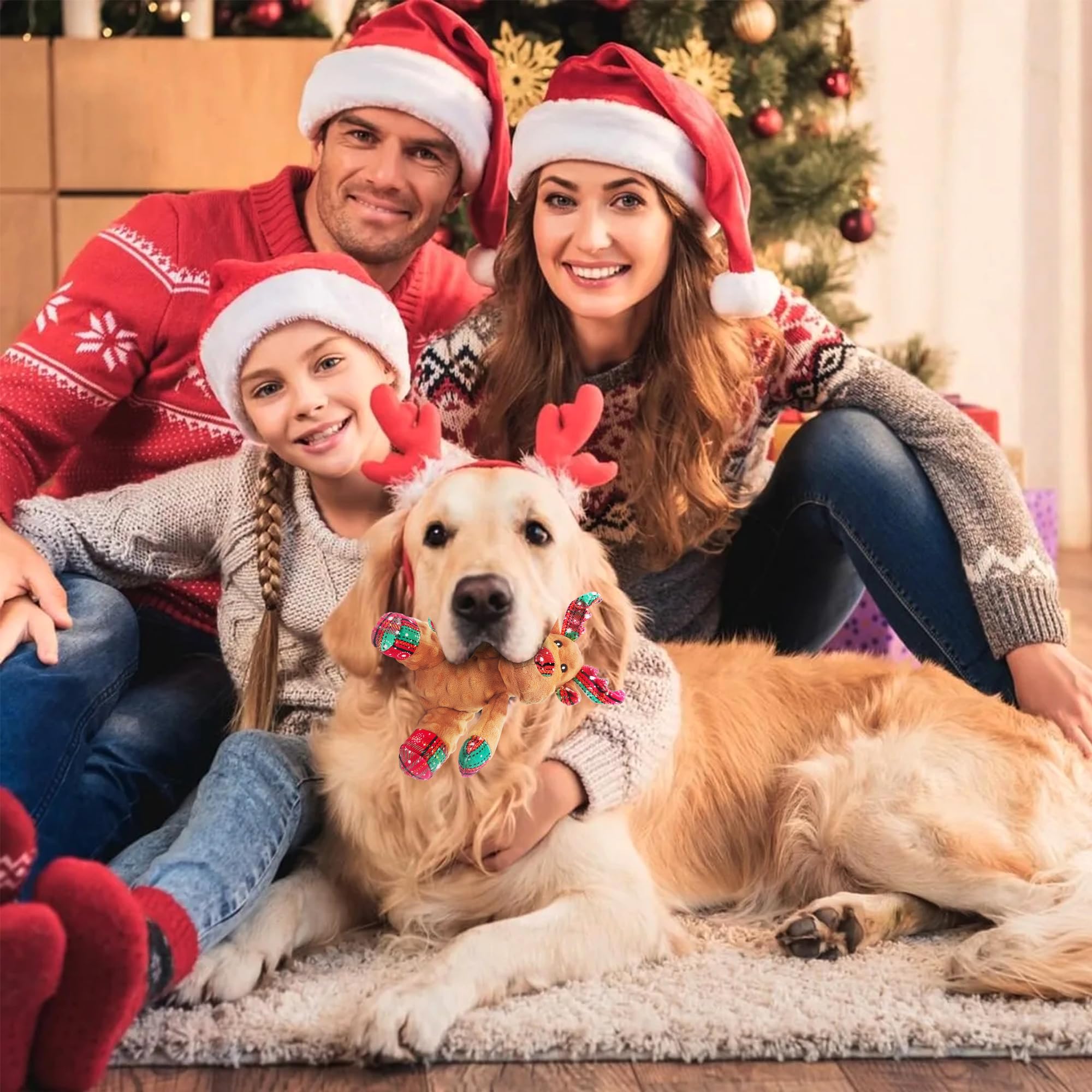 Qiiiiian dog toy dental health stimulation suited for chewing