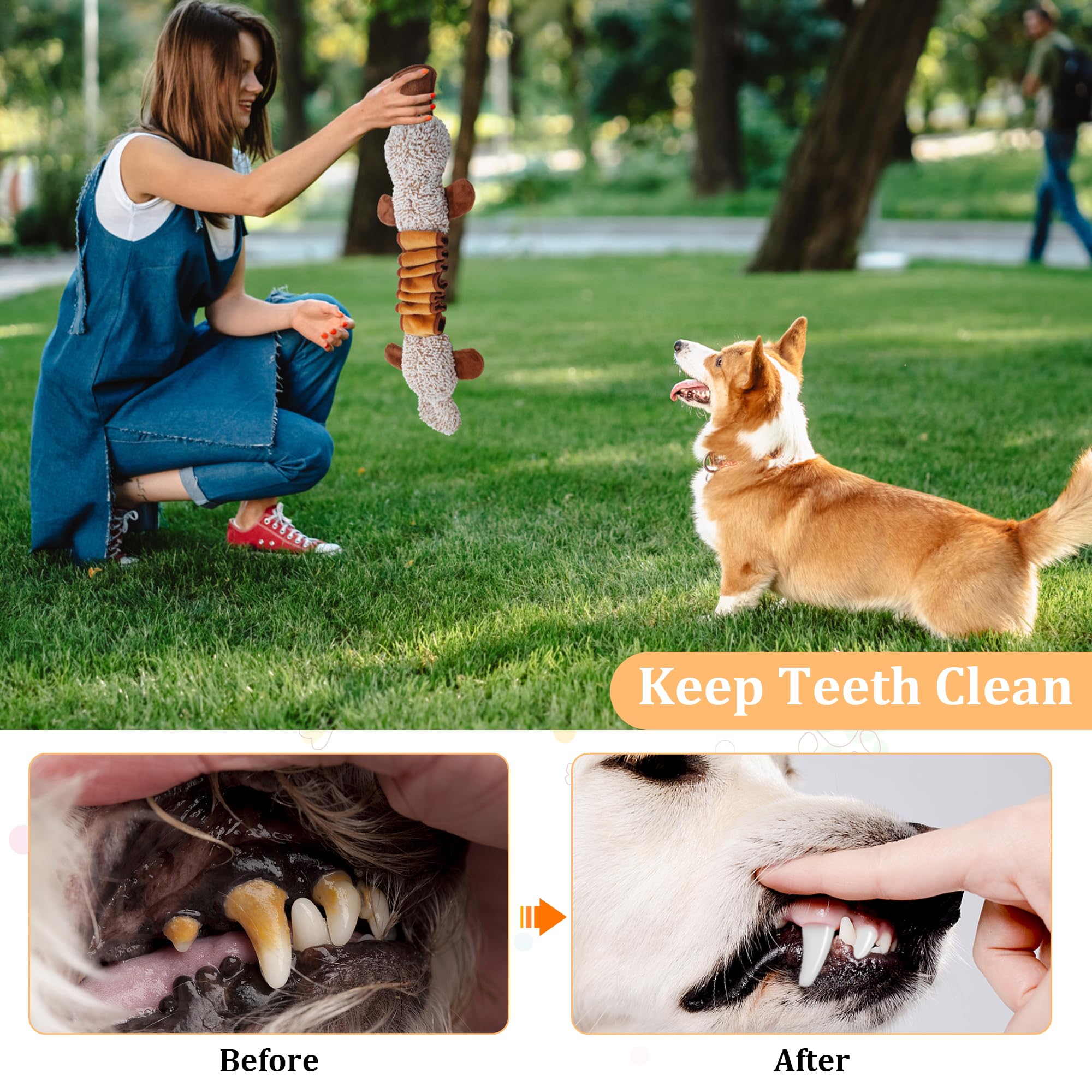 Qiiiiian platypus toy gift-ready packaging promotes birthday or holiday gifting