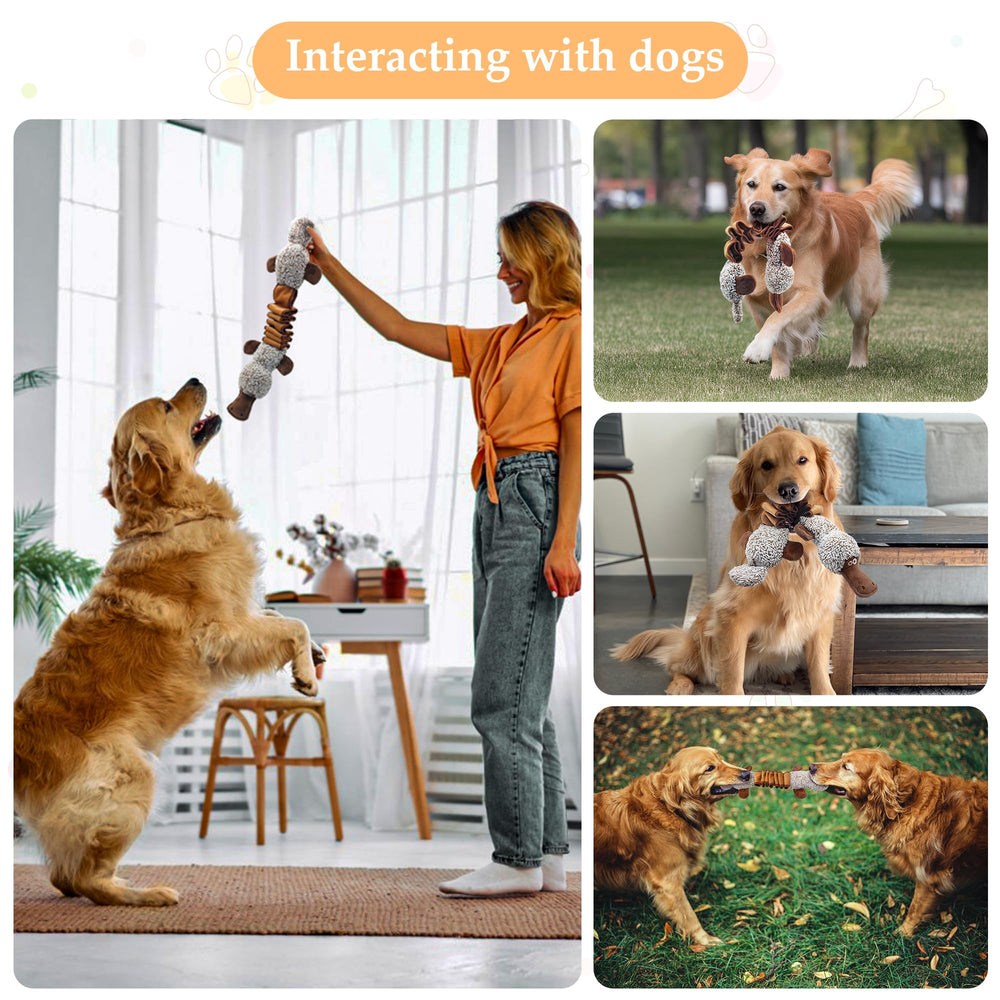 Qiiiiian platypus toy interactive-bonding scene during daily playtime with your dog