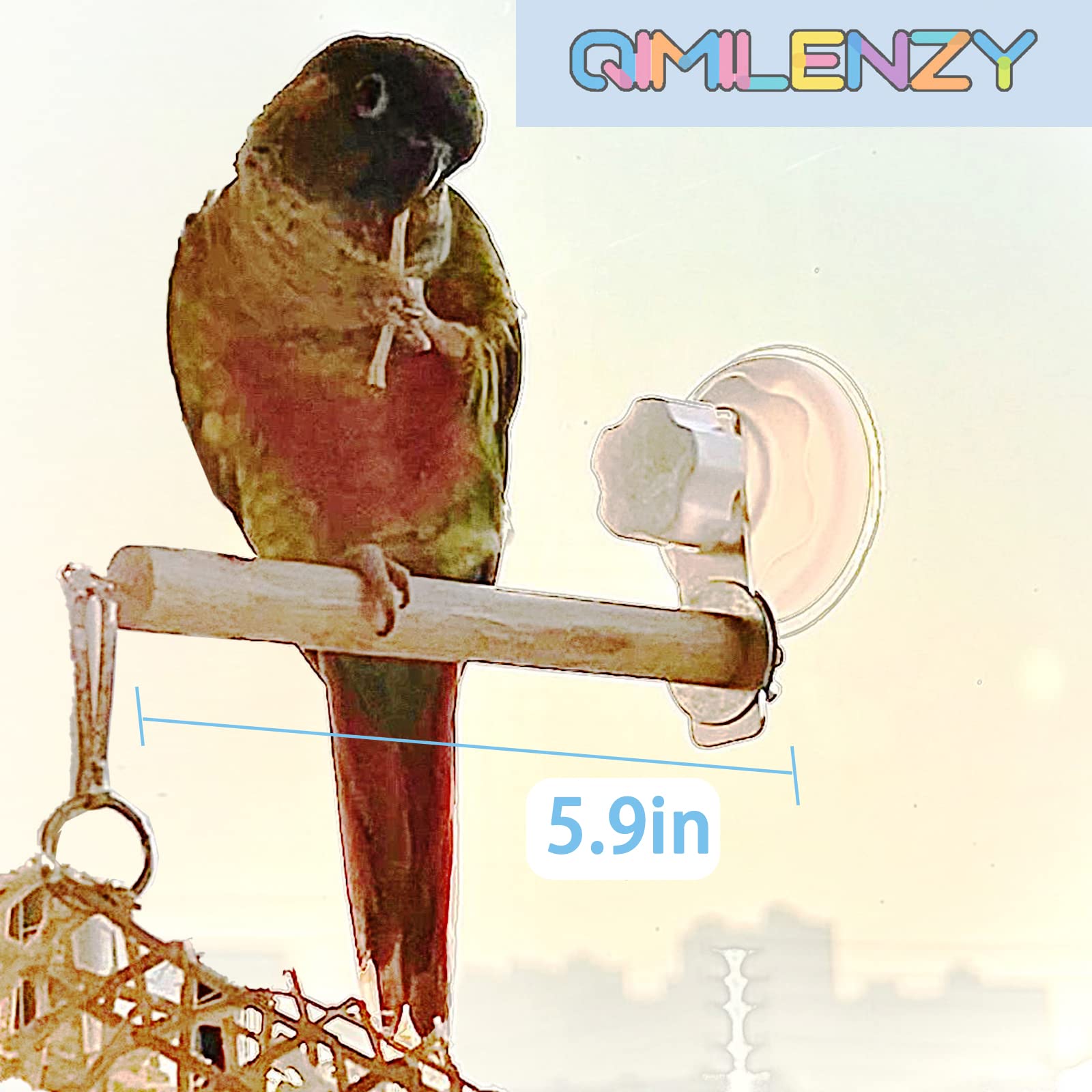 Qimilenzy suction cup closeup shows secure travel attachment