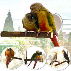 Qimilenzy window perch on tile surfaces suitable for baths or travel.
