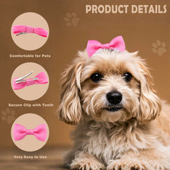 QingHan alligator clip dog bows secure during active play and daily walks.