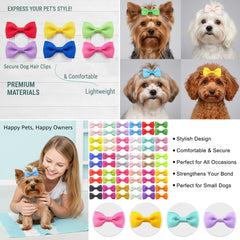 QingHan vibrant color assortment: 60 pieces across 30 unique pair patterns.