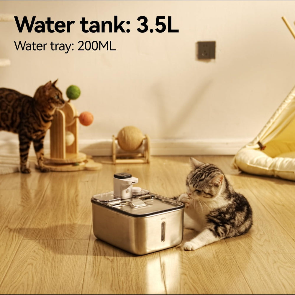 Qinliy stainless steel tank capacity indicator highlights 3.5L capacity.