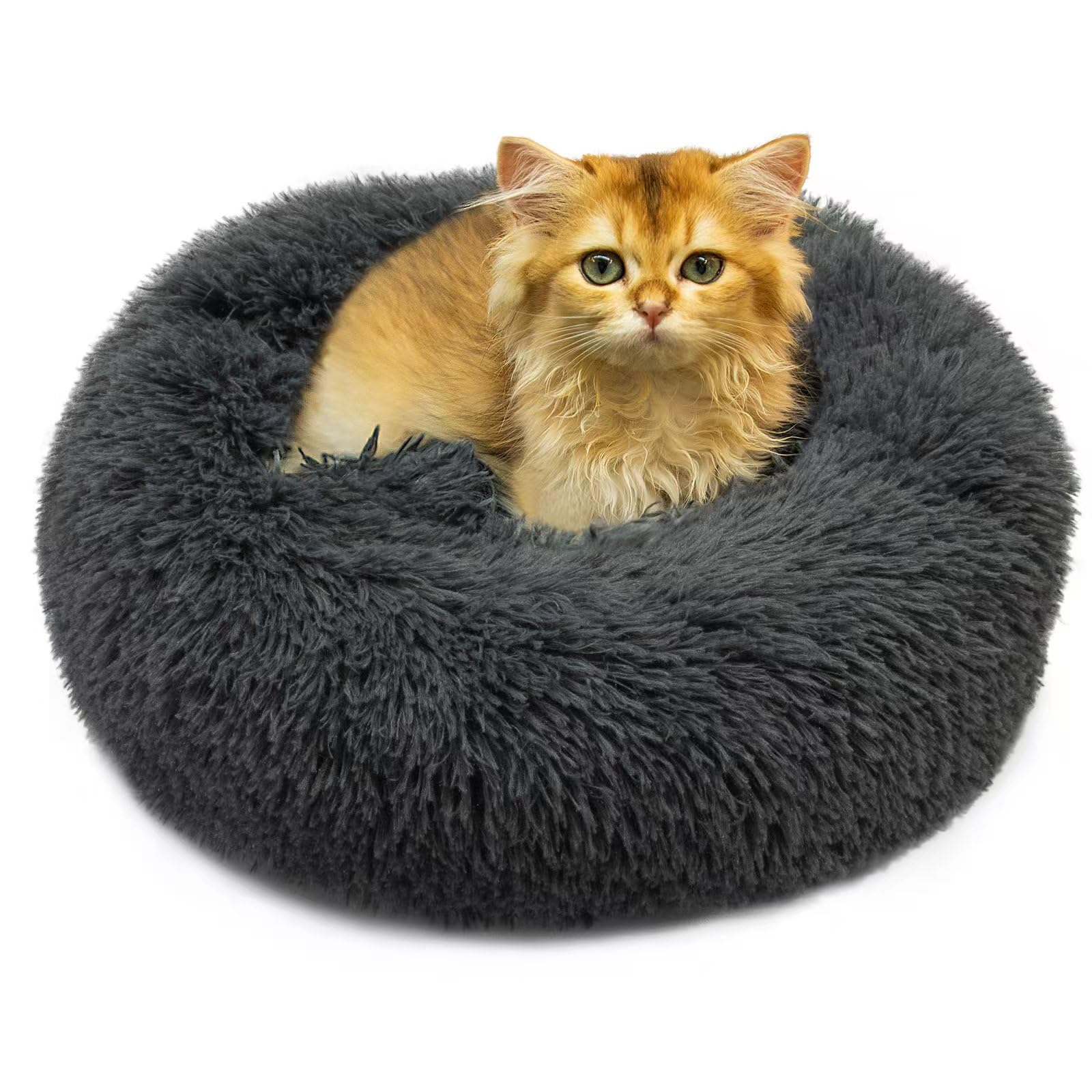 Qinxuepet donut bed in dark gray offers plush warmth for small dogs and kittens.