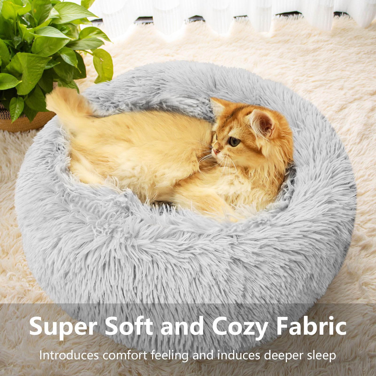 Qinxuepet donut bed invites cozy naps and cuddling during lazy days.