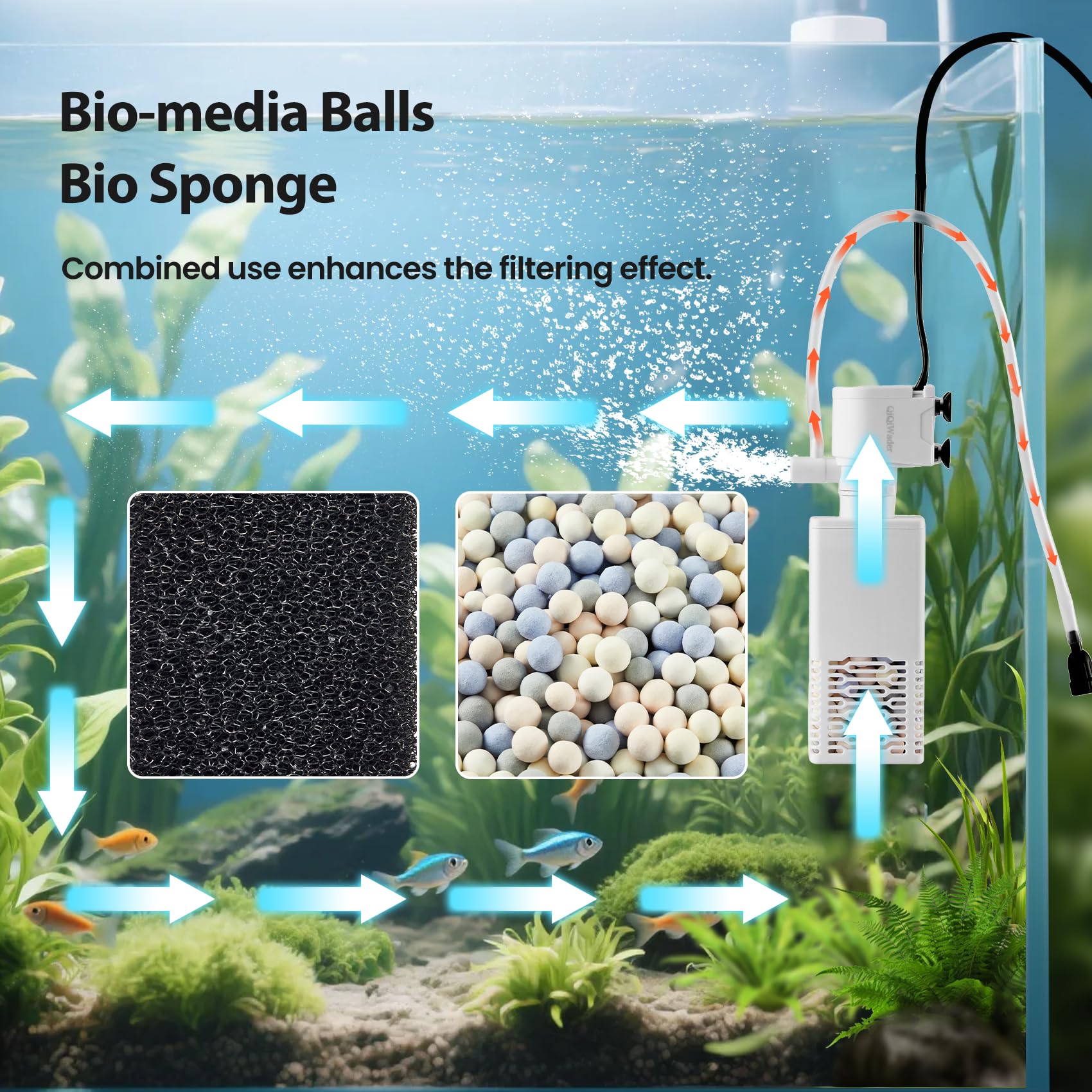 QiQiWader dual filtration with bio sponge and media balls promotes clear water.