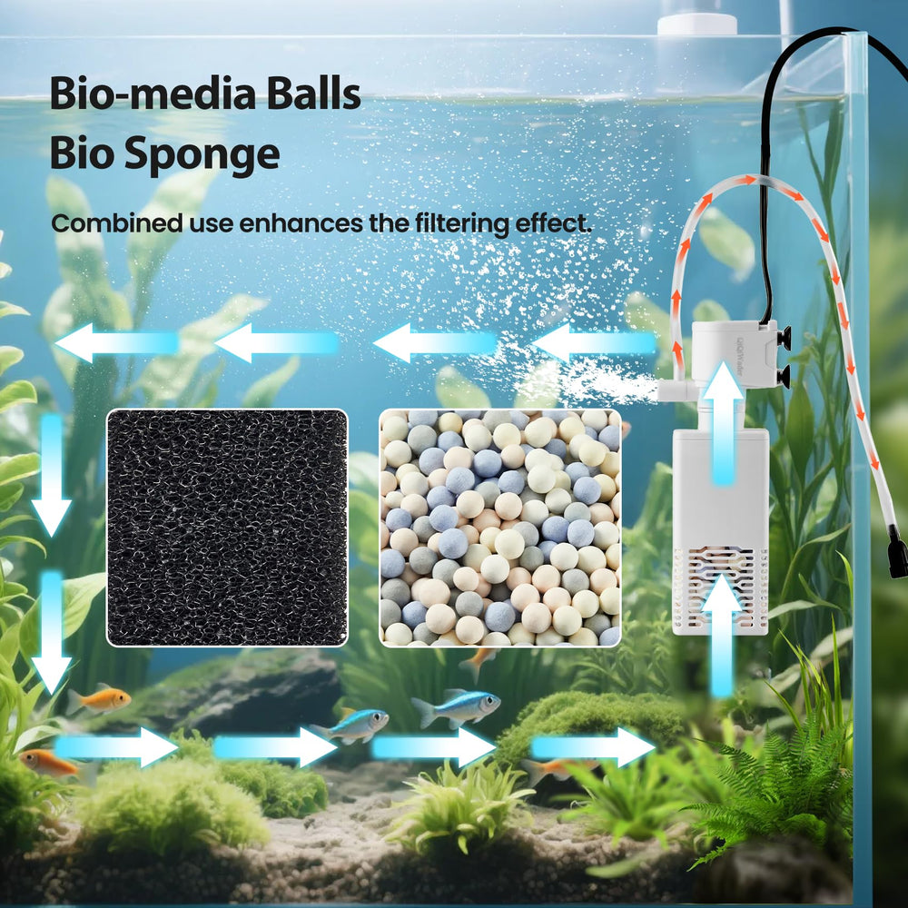 QiQiWader dual filtration with bio sponge and media balls promotes clear water.